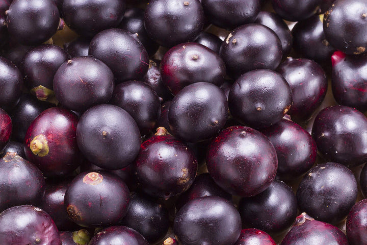 Do Acai Berries Really Help with Weight Loss?